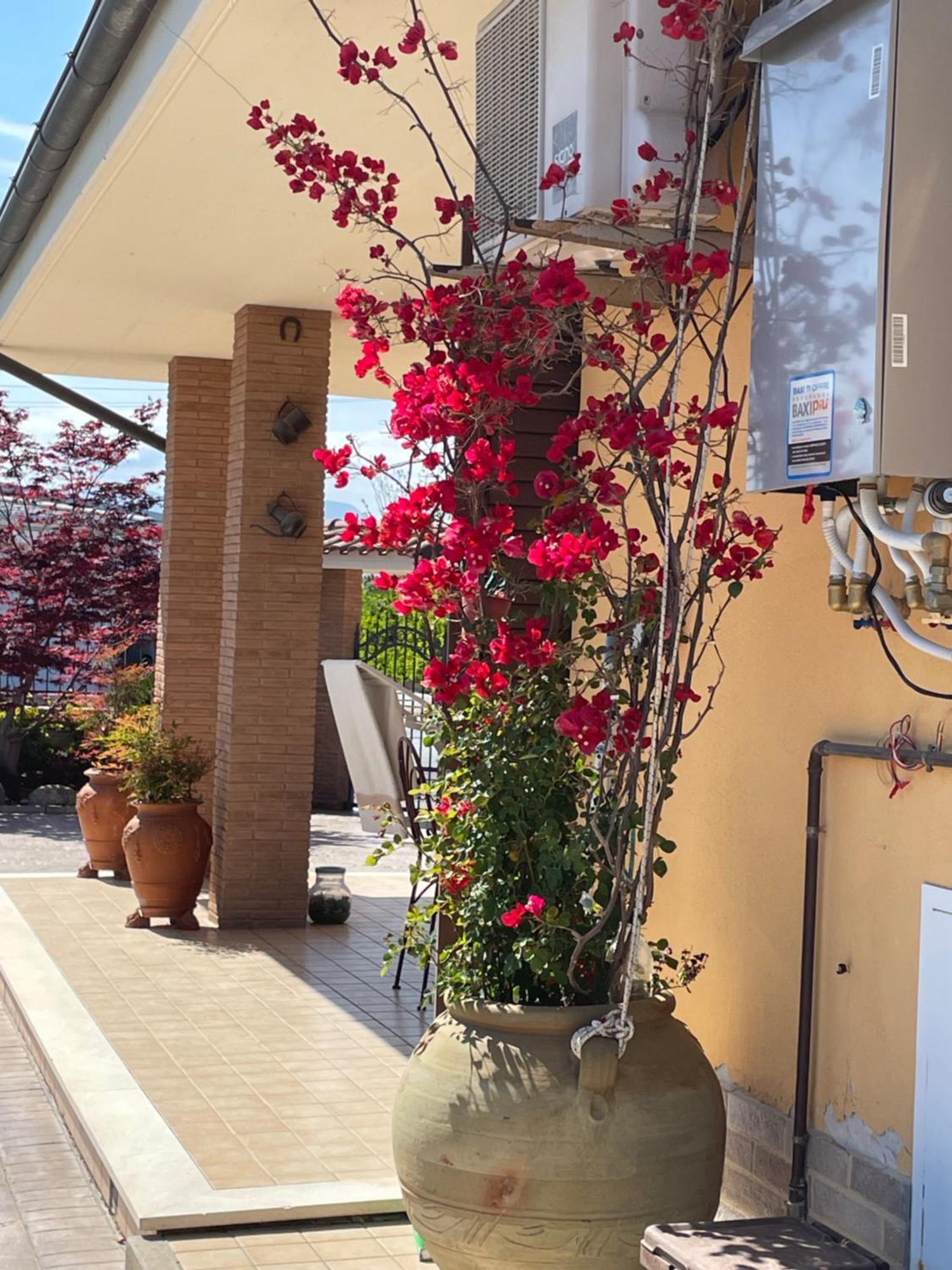 Holiday home Relax *